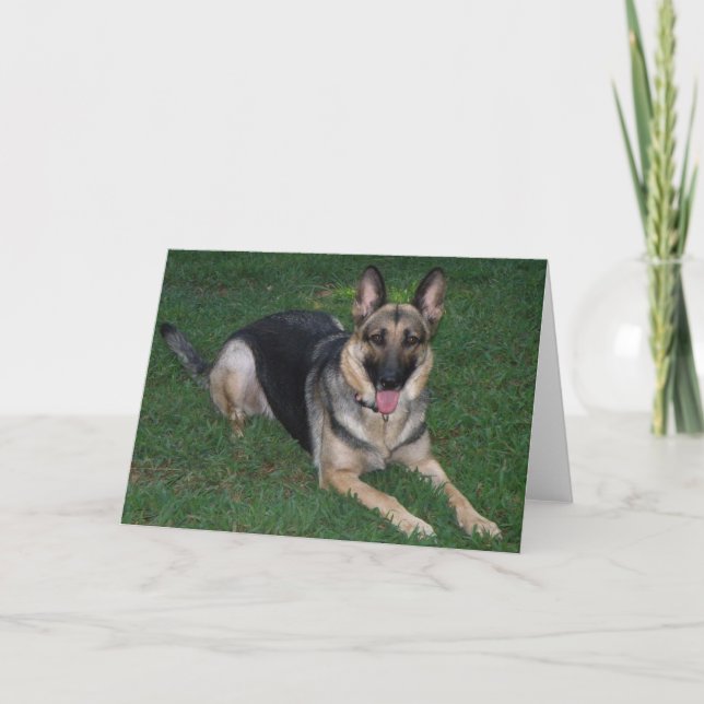 German Shepherd Card (Front)