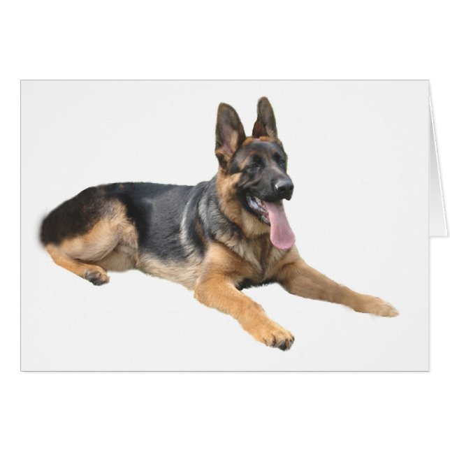 German Shepherd Card (Front Horizontal)