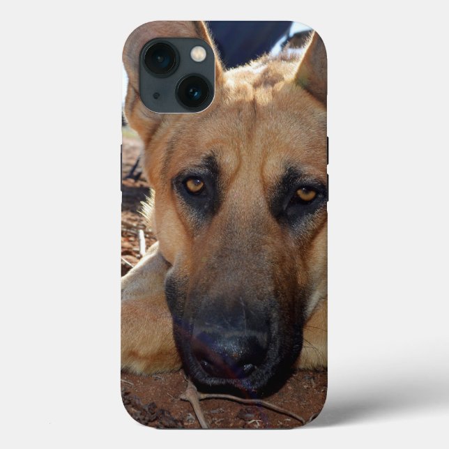 German Shepherd Cat Naps, iPhone 13 Case (Back)