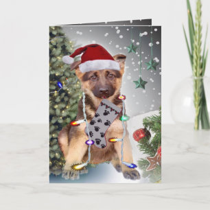 German Shepherd Christmas Lights Holiday Card