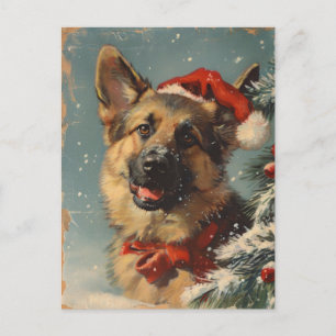 German shepherd Christmas  Postcard