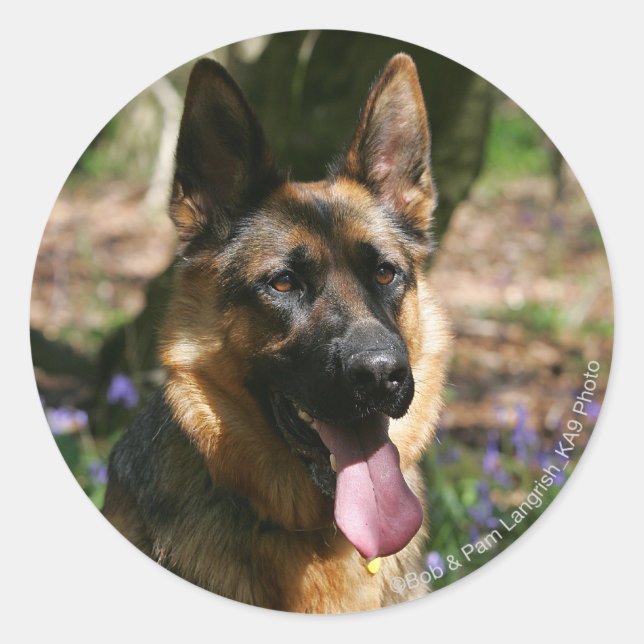 German Shepherd Classic Round Sticker (Front)