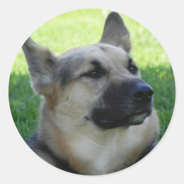German Shepherd Classic Round Sticker (Front)