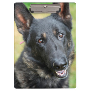 German Shepherd Clipboard