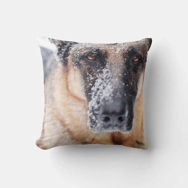 German Shepherd Closeup Covered In Snow Cushion (Front)
