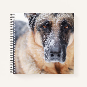 German Shepherd Closeup Covered In Snow Notebook