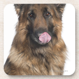 German Shepherd Coaster