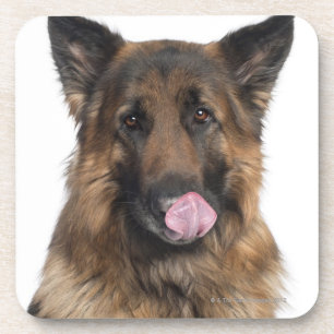 German Shepherd Coaster