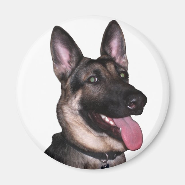 German Shepherd Collection Magnet (Front)