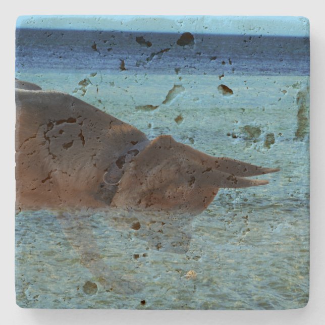 German Shepherd Crabbing Adventure,  Stone Coaster (Front)