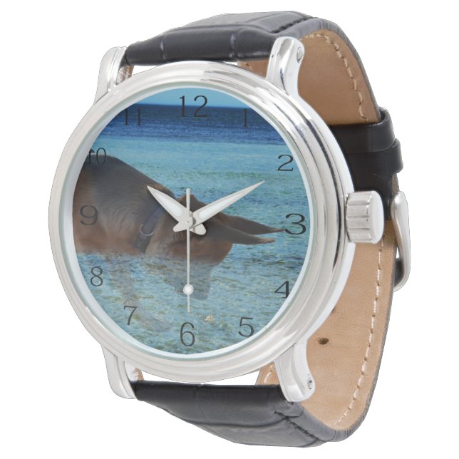 German Shepherd Crabbing Adventure,  Watch (Angled)