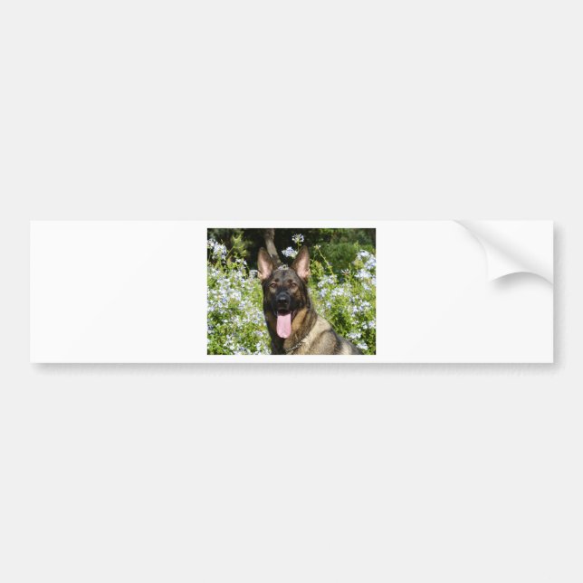 German Shepherd Dog Bumper Sticker (Front)