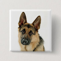 German Shepherd Dog Button Pin