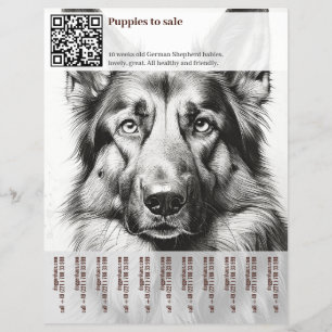 German Shepherd Dog Flyer