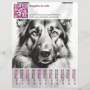 German Shepherd Dog Flyer