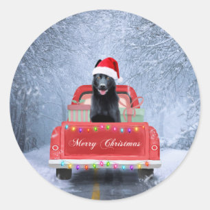 German Shepherd Dog in Snow sitting in Christmas Classic Round Sticker