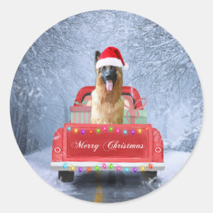 German Shepherd Dog in Snow sitting in Christmas Classic Round Sticker