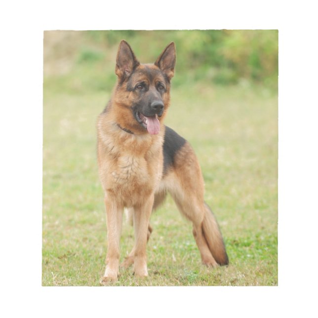 German shepherd dog notepad (Front)