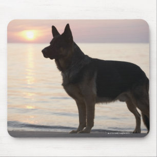 German Shepherd dog on Georgian Bay, Ontario, Mouse Pad