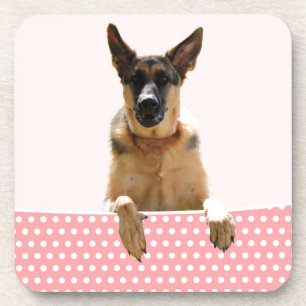 German Shepherd Dog Pink Polka Dots Coaster