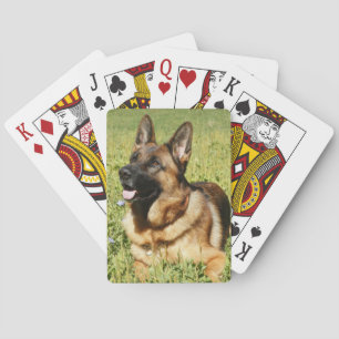 German Shepherd Dog Playing Cards