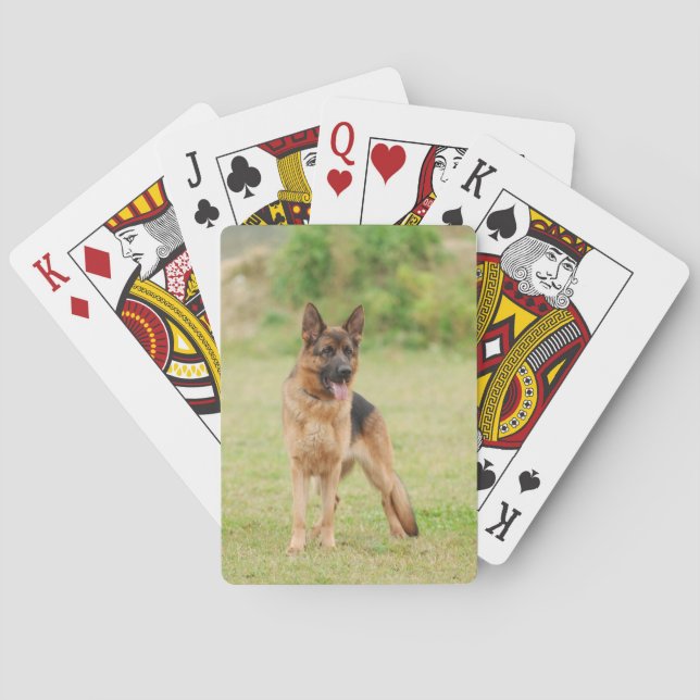 German shepherd dog playing cards (Back)