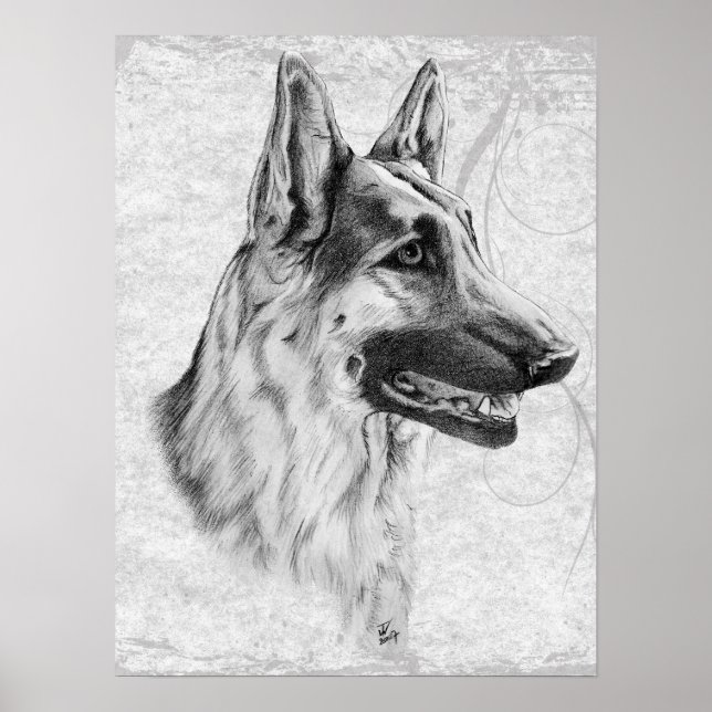 German Shepherd Dog Poster (Front)