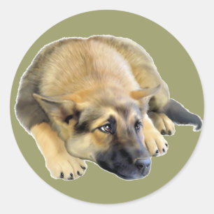 German Shepherd Dog Puppy Classic Round Sticker