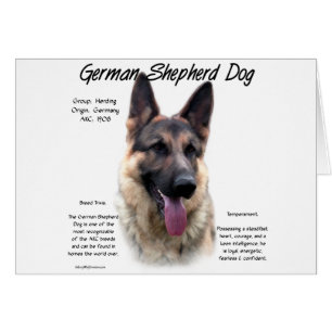 German Shepherd Dog (sable) History Design