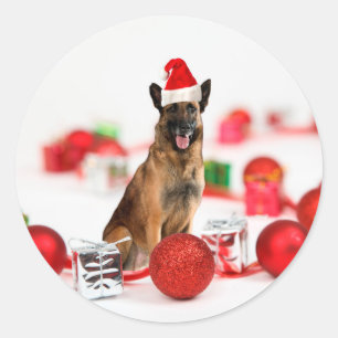 German Shepherd dog w Christmas Gifts Santa Hat Classic Round Sticker