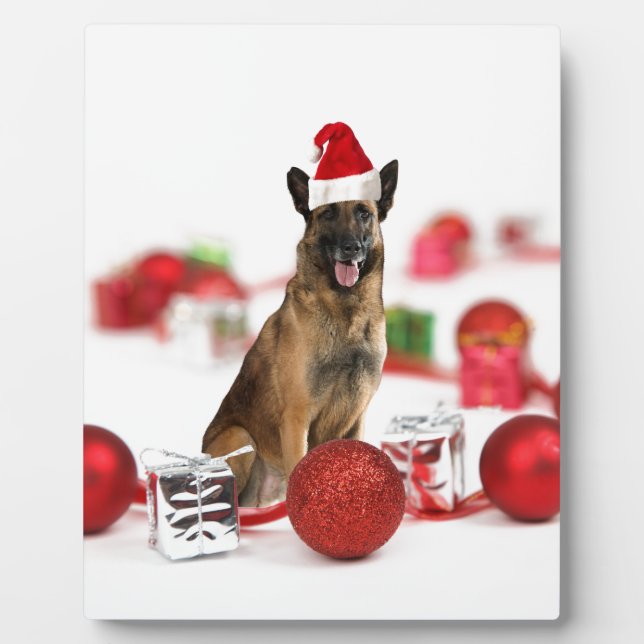 German Shepherd dog w Christmas Gifts Santa Hat Plaque (Front)