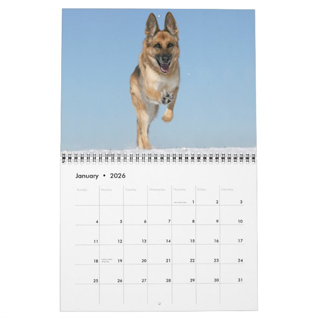 German Shepherd Dog wall calendar (Jan 2026)