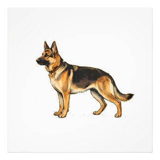 German Shepherd Double-Sided Throw Pillow Photo Print