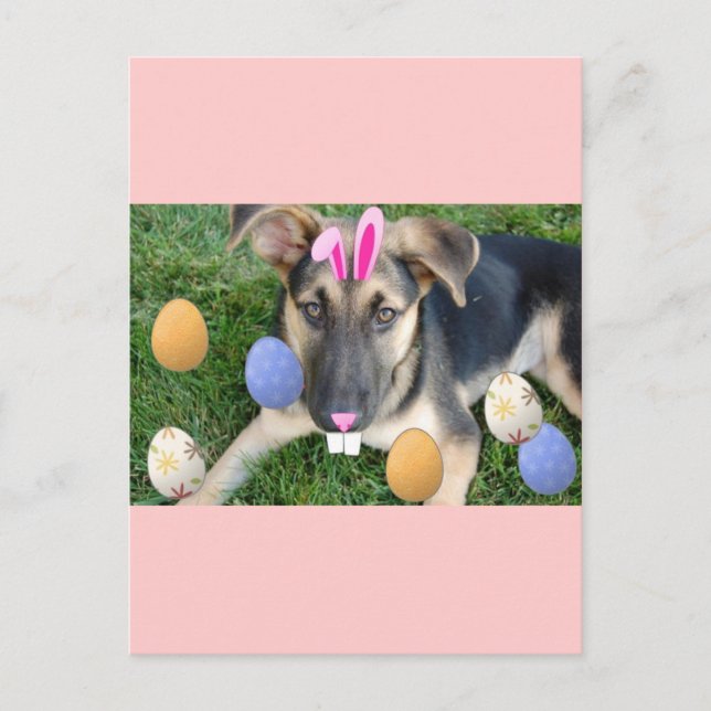 German Shepherd Easter Puppy Holiday Postcard (Front)