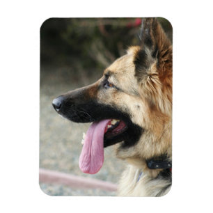 German Shepherd flexible photo magnet