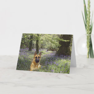 German Shepherd Forest Card