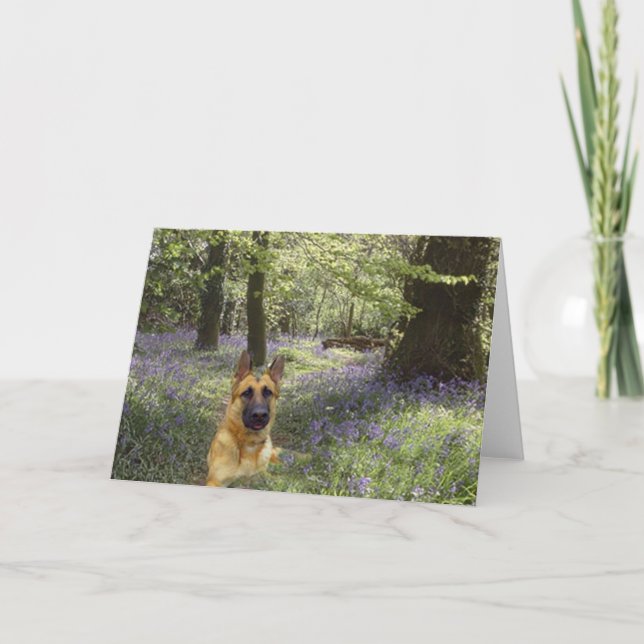 German Shepherd Forest Card (Front)