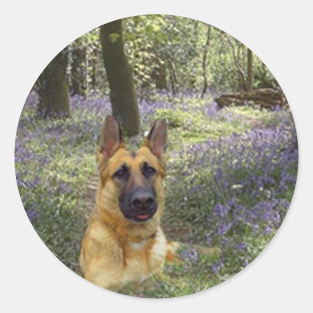 German Shepherd Forest Sticker (Front)