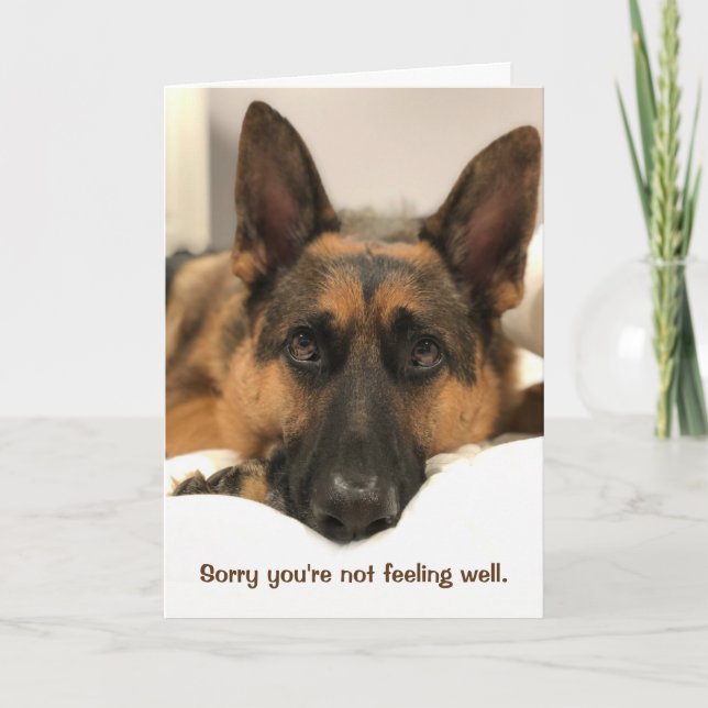 German Shepherd Get Well Card (Front)