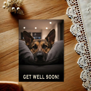 German Shepherd Get Well Postcard