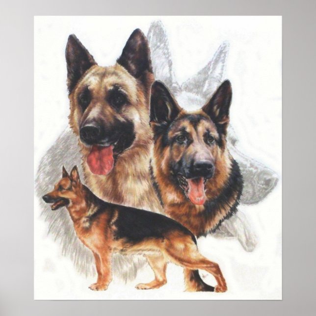 German Shepherd "Ghost" Collage Poster (Front)