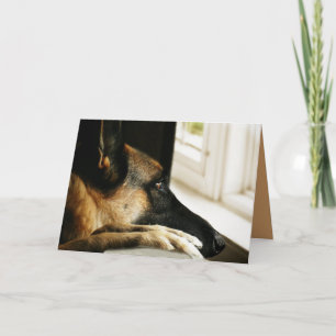 German Shepherd Greeting Card