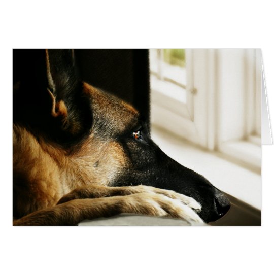 German Shepherd Greeting Card
