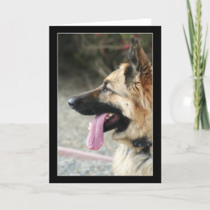 German Shepherd greeting card