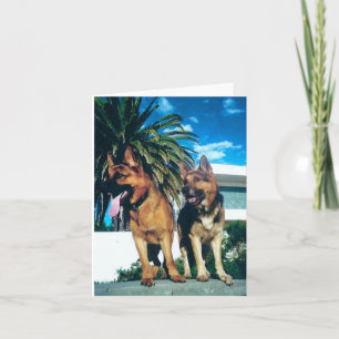 german shepherd group card