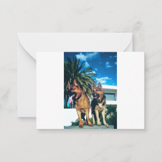 german shepherd group card (Front)