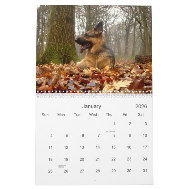 German Shepherd (GSD) Calendar (Jan 2026)