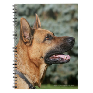 German Shepherd Headshot 1 Notebook