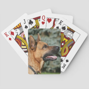 German Shepherd Headshot 1 Playing Cards