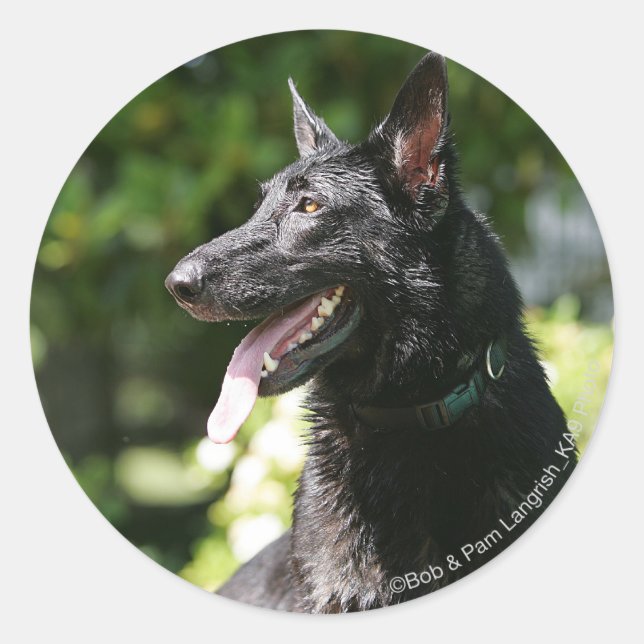 German Shepherd Headshot 2 Classic Round Sticker (Front)
